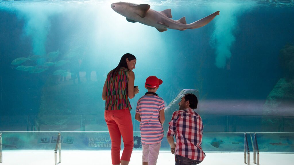Cosas que hacer en tu visita a Guadalajara: Visitar el Zoológico Guadalajara